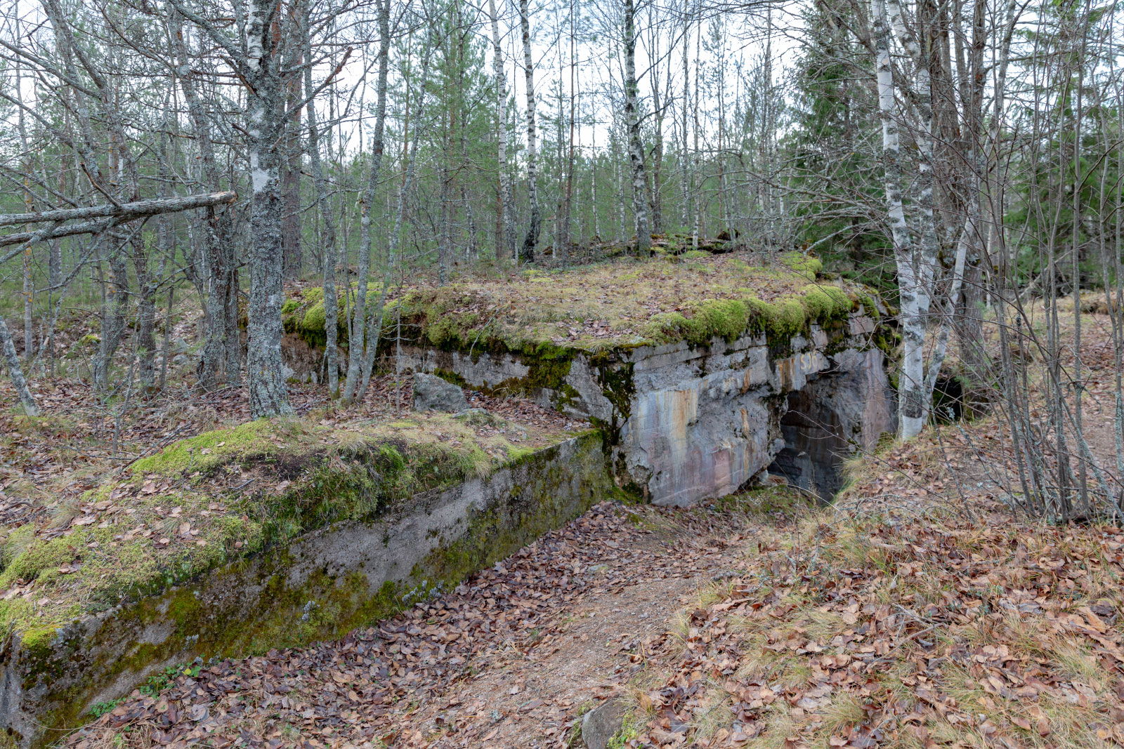Kamenka (Линия Маннергейма, ДОТ SJ5, Каменка, Kaukjärvi) (Photo license: CC BY 2.0)